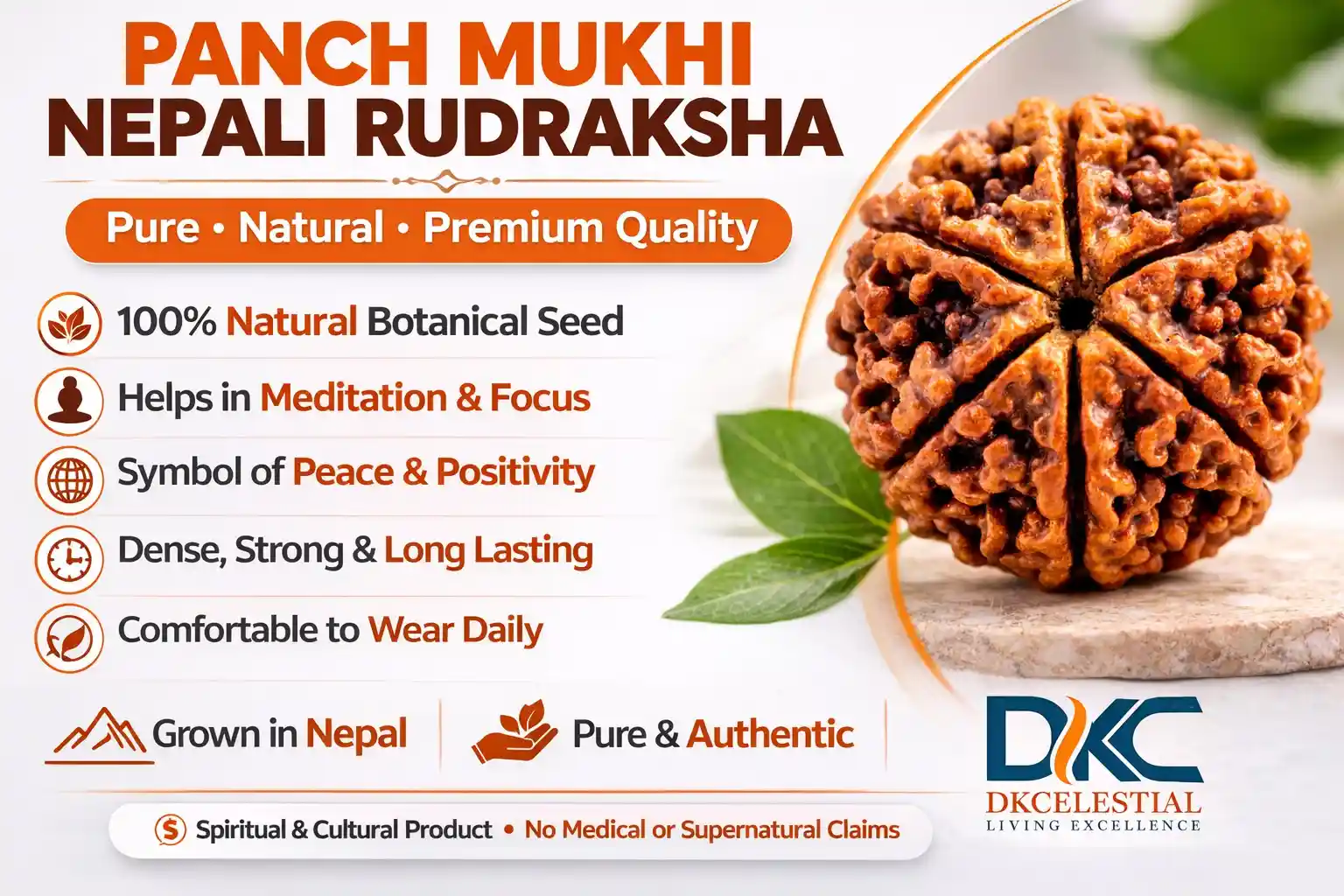 Panch Mukhi Nepali Rudraksha — pure, natural, premium quality